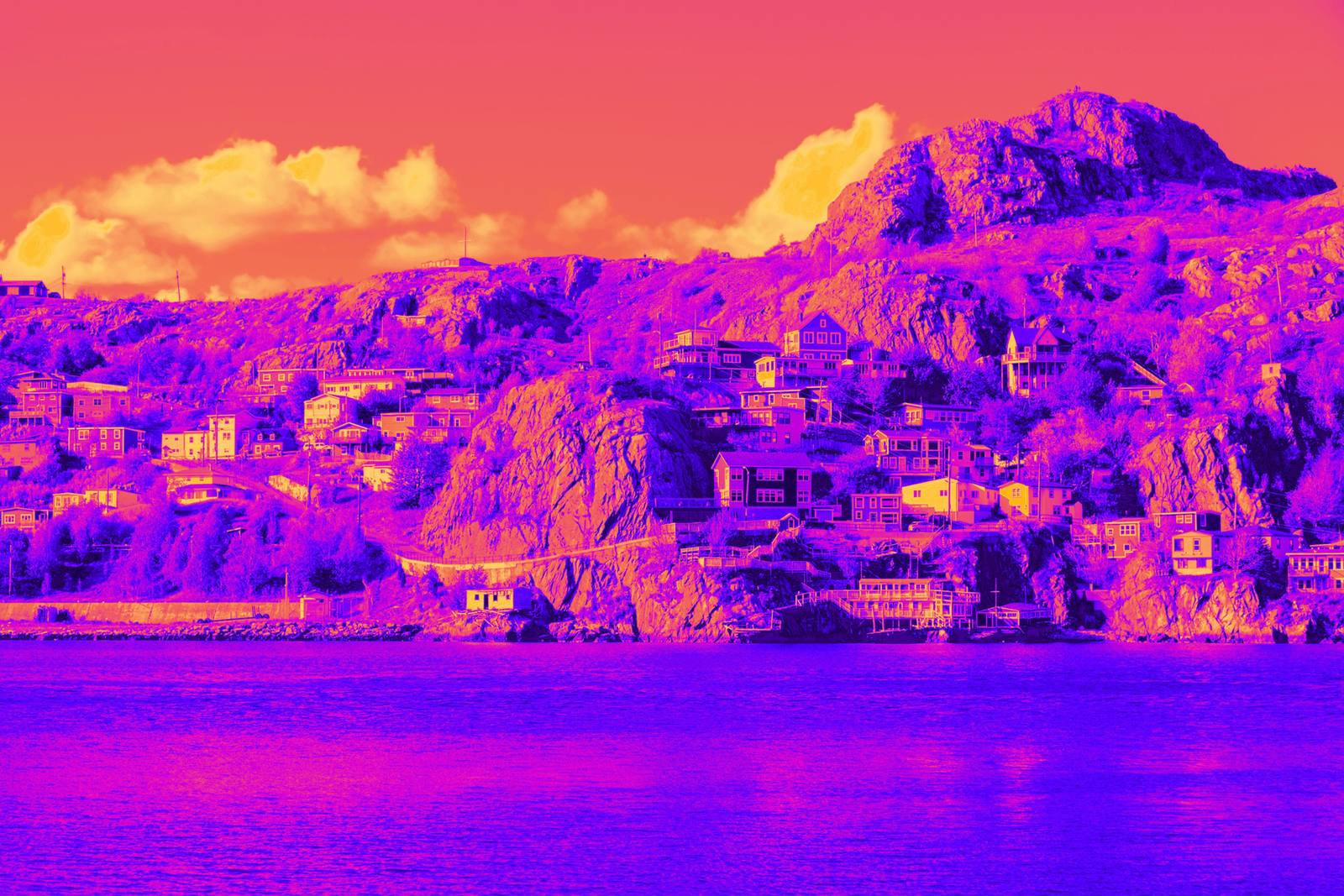 Colourful houses overlooking the harbour in St. John’s, Newfoundland and Labrador